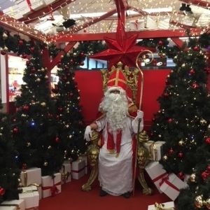 saint nicolas professionnel