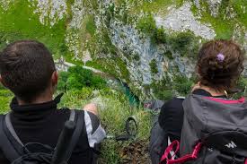 atelier cohesion equipe cerballiance